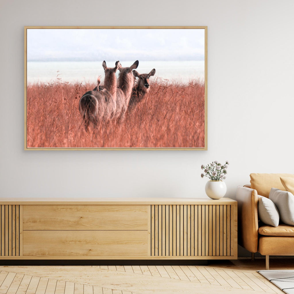 Africa’s Magic | Portrait Edition