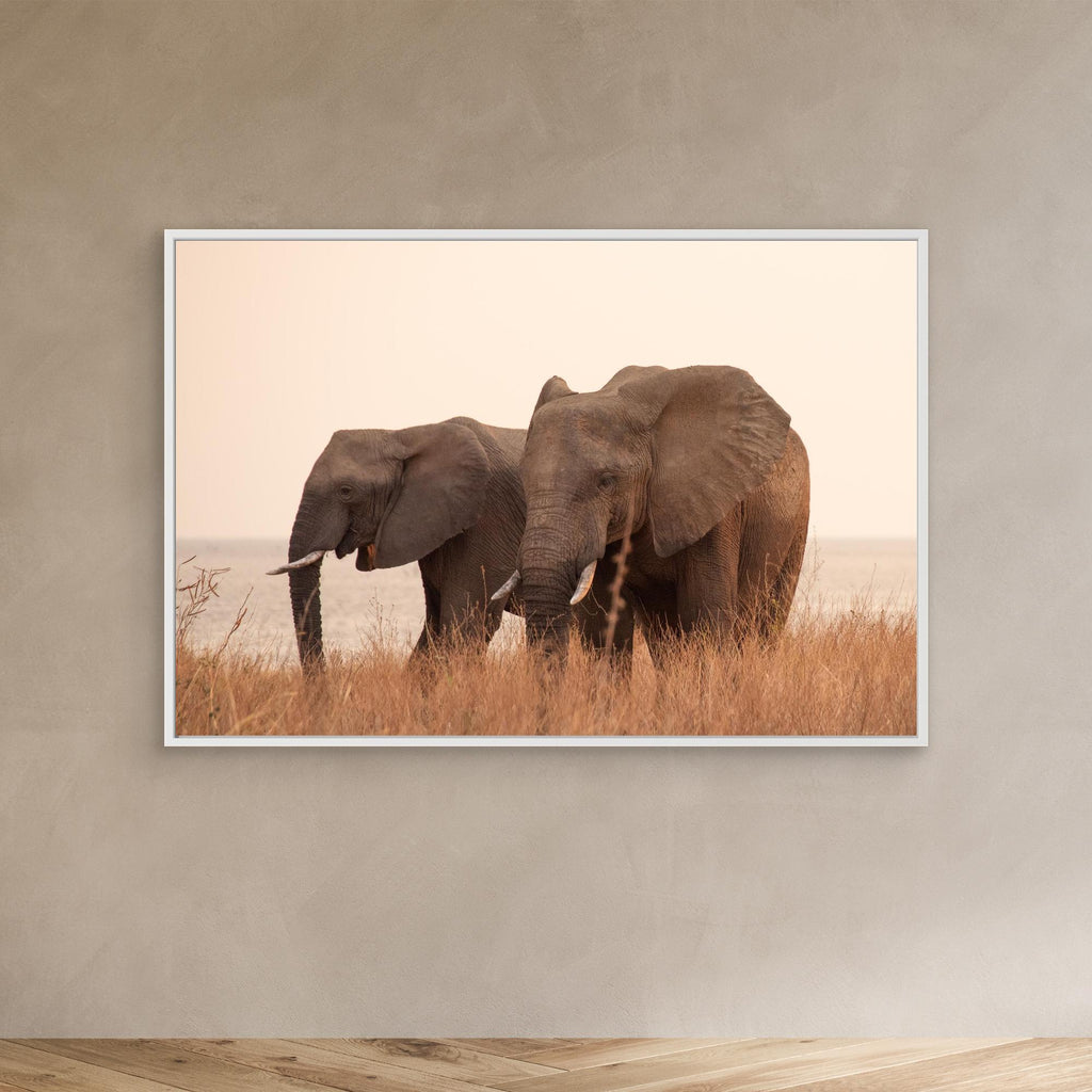 Elephants | Portrait Edition
